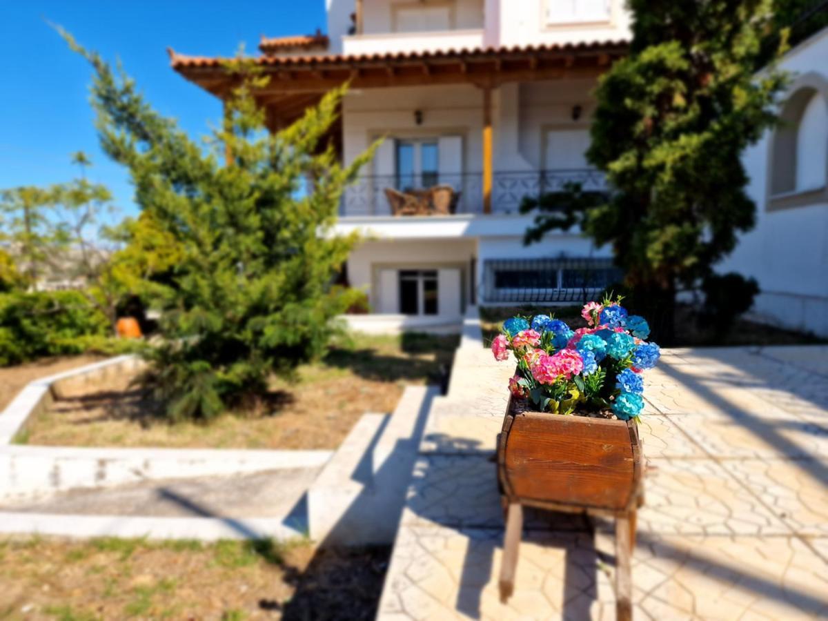 Villa Liana : Luxury Villa With Fantastic Sea View, Near Airport Pórto Ráfti Exterior photo