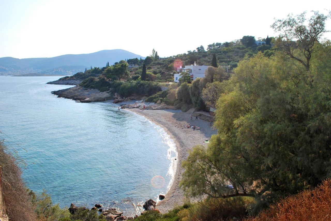 Villa Liana : Luxury Villa With Fantastic Sea View, Near Airport Pórto Ráfti Exterior photo