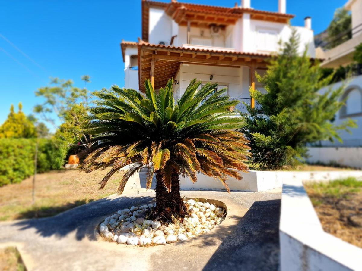 Villa Liana : Luxury Villa With Fantastic Sea View, Near Airport Pórto Ráfti Exterior photo